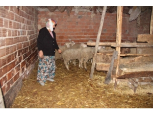 Şaphaneli Perihan Yavuz: Yetkililerden Elektrik Mağduriyetimin Bir An Önce Giderilmesini İstiyorum