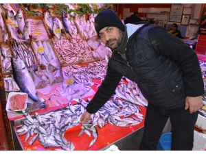 Balık Azlığının Nedeni Yanlış Avlanma