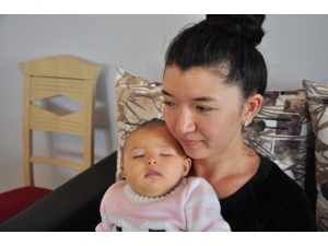 Masal Bebek Görebilmek İçin Yardım Bekliyor