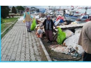 Burhaniye’de Yat Limanı Temizlendi