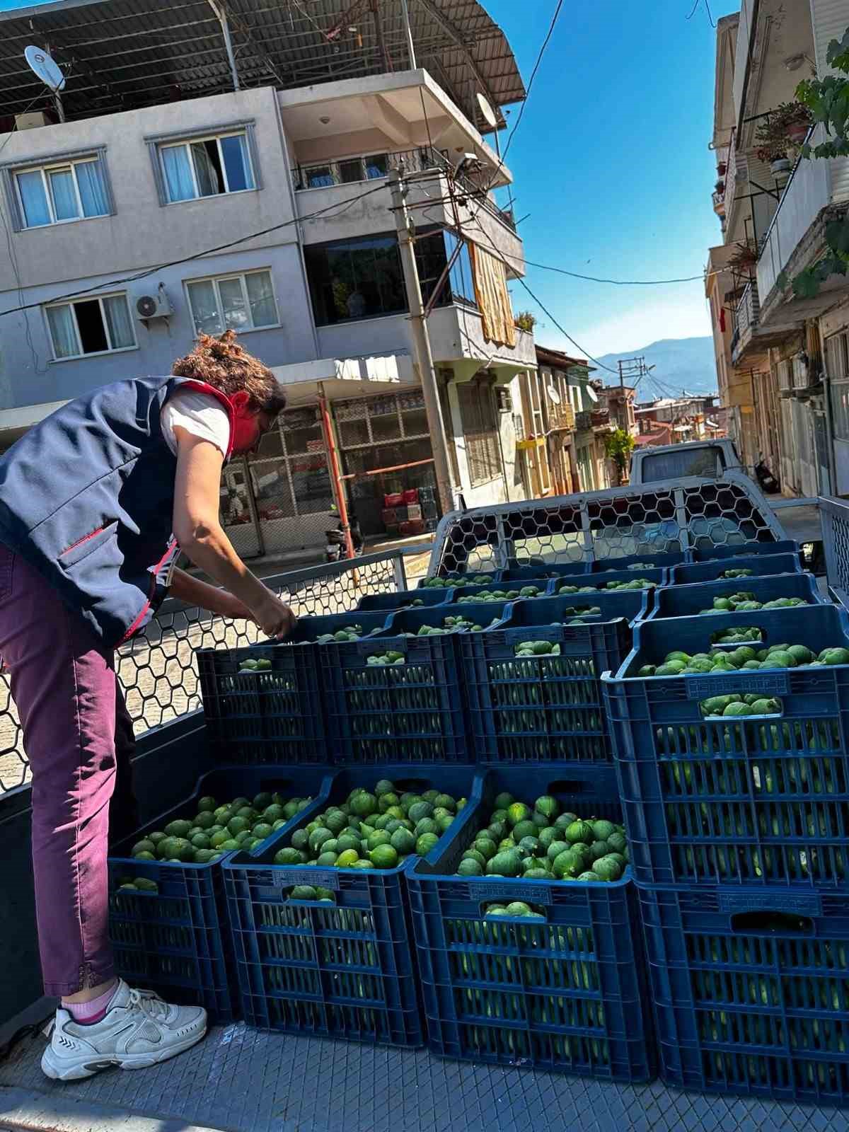 bozdogan-da-ilek-denetimleri-araliksiz-suruyor