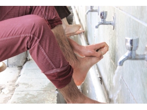 Bu Tuvalete Şifa İçin Geliyorlar