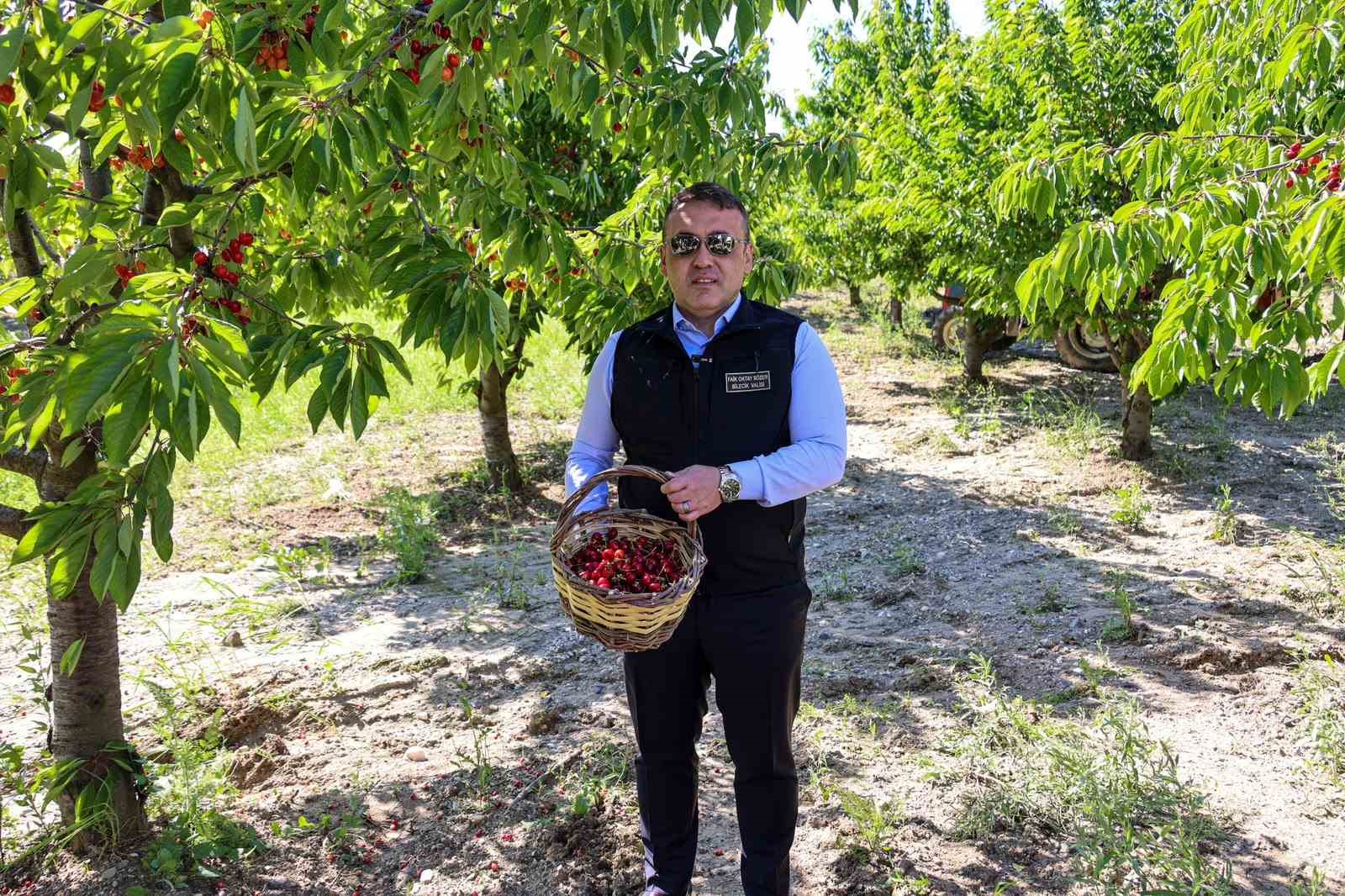 bilecik-te-27-bin-dekarda-yillik-yaklasik-15-bin-500-ton-kiraz-uretimi