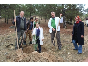 Öğrenciler Ağaç Dikme Eğitimi Verildi