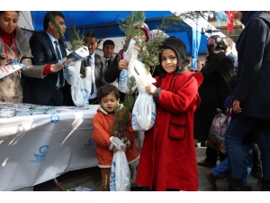 Şahinbey’de 400 Bin Fidan Dağıtıldı