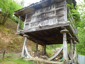 Karadeniz Serenderden Vazgeçmiyor