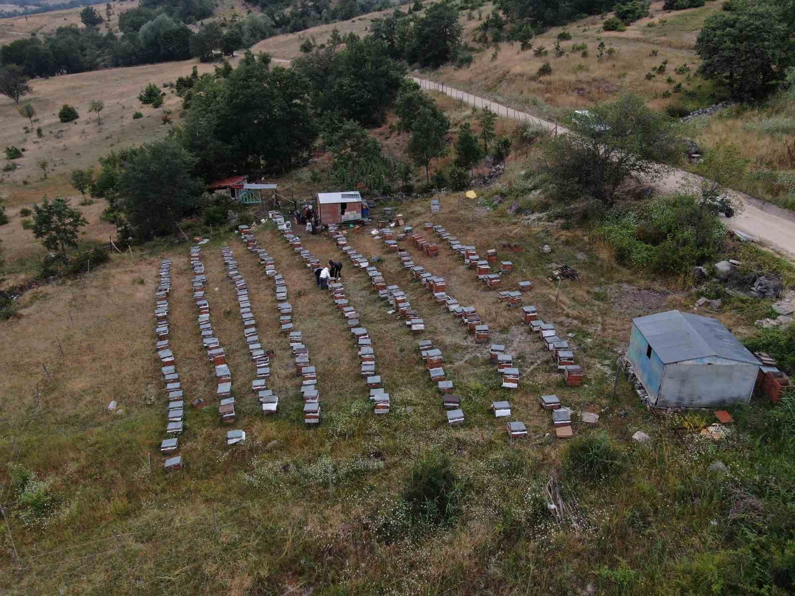 aricilikta-yapay-zeka-donemi