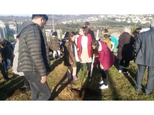 Cephaneliğe Fidan Dikildi