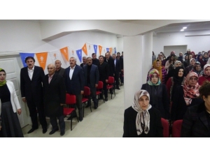 Doğanşehir Ak Parti Kadın Kolları Yeni Başkanını Seçti