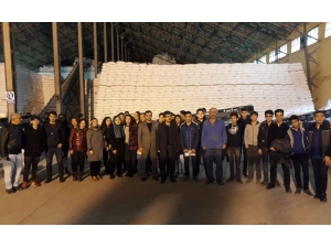 Öğrenciler Şeker Fabrikasını Gezdi