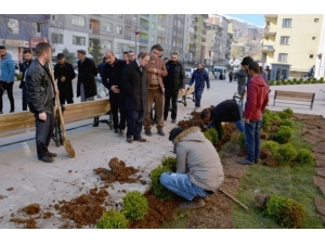 Hakkari Belediyesi Peyzaj Çalışmaları Başlattı