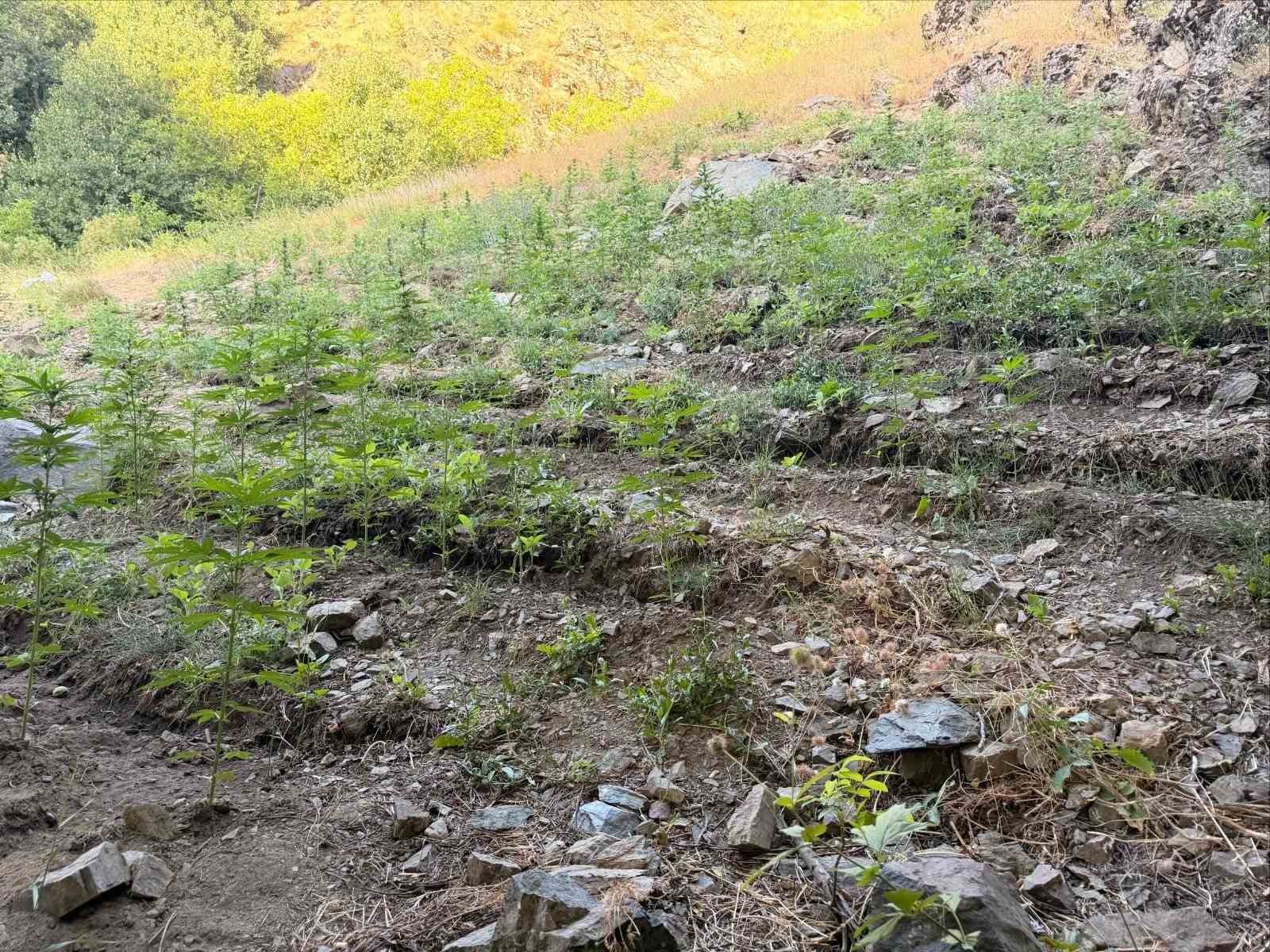 bingol-de-cesitli-suclardan-76-supheli-yakalandi