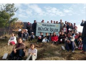 Yanan Alanlar Yeniden Ağaçlandırılıyor