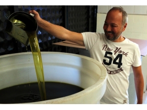 Zeytinyağında Yanlış Bilinen Doğrular