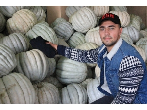 Yaşıtları İş Planları Yaparken O Kendi İşinin Patronu Oldu