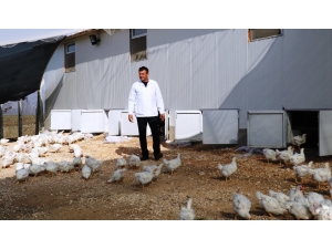 Organik Diye Sunulan Ürünlere Dikkat