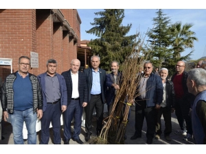 Bayırköy Belediyesi Tarafından Ücretsiz Hurma Dağıtıldı