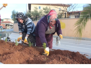 Kadınlar 3 Bin Fidan Dikti