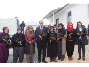 5 Kadın, Kaymakamlık Desteği İle Yumurta Tavukçuluğuna Başladı