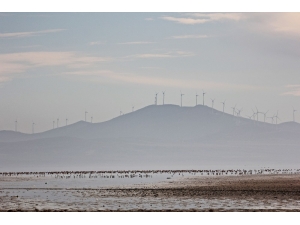 3 Günlük Yağış 3 Bin Kuşu Seyfe’ye Getirdi