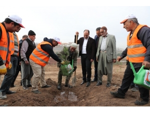Şanlıurfa’da Yeşillendirme Çalışmaları Sürüyor
