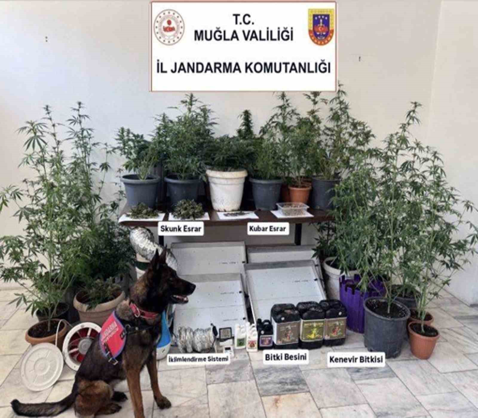 jandarma-ekiplerinin-uyusturucu-ve-sahte-alkol-denetimleri-suruyor
