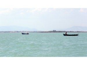 Beyşehir Gölü Önemli Doğa Alanındaki Balık Türlerinin Nesli Tehlikede