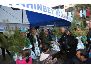 Şahinbey Belediyesi Fidan Dağıtımını Sürdürüyor
