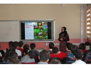Van’da Öğrencilere Yönelik “Biyolojik Çeşitlilik’’ Eğitimleri