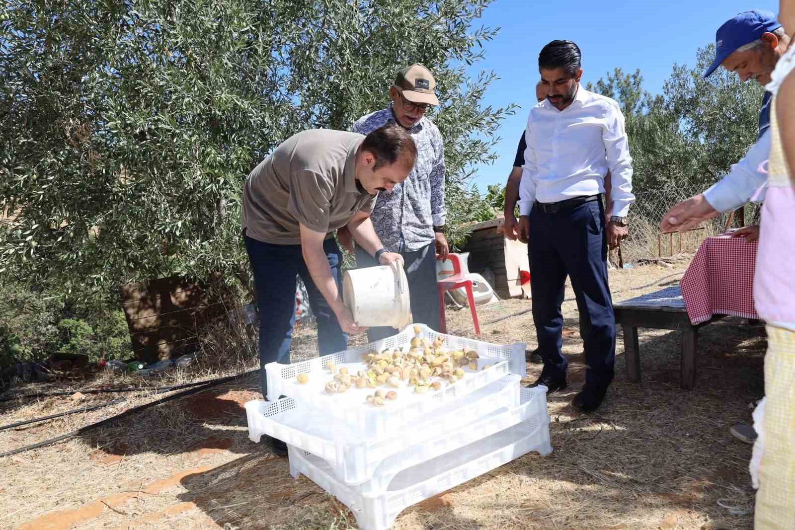 kaymakam-battal-incir-hasadinda-ureticilerle-bir-araya-geldi