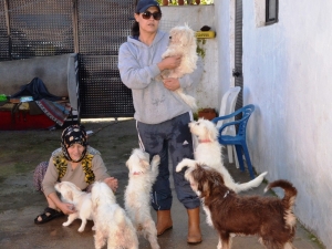 Hayatını Sokak Hayvanlarına Adadı