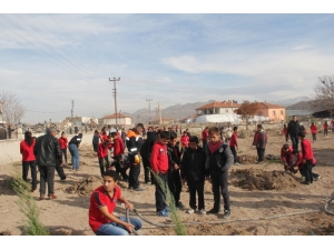 Başkan Karayol, Öğrencilerle Birlikte Ağaç Dikti