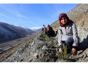 Erzincan’da Kyk’lı Gençler Gelecek İçin Fidan Dikti