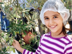 Zeytincilik Sektörü Ortadoğu Pazarında Atak Yaptı