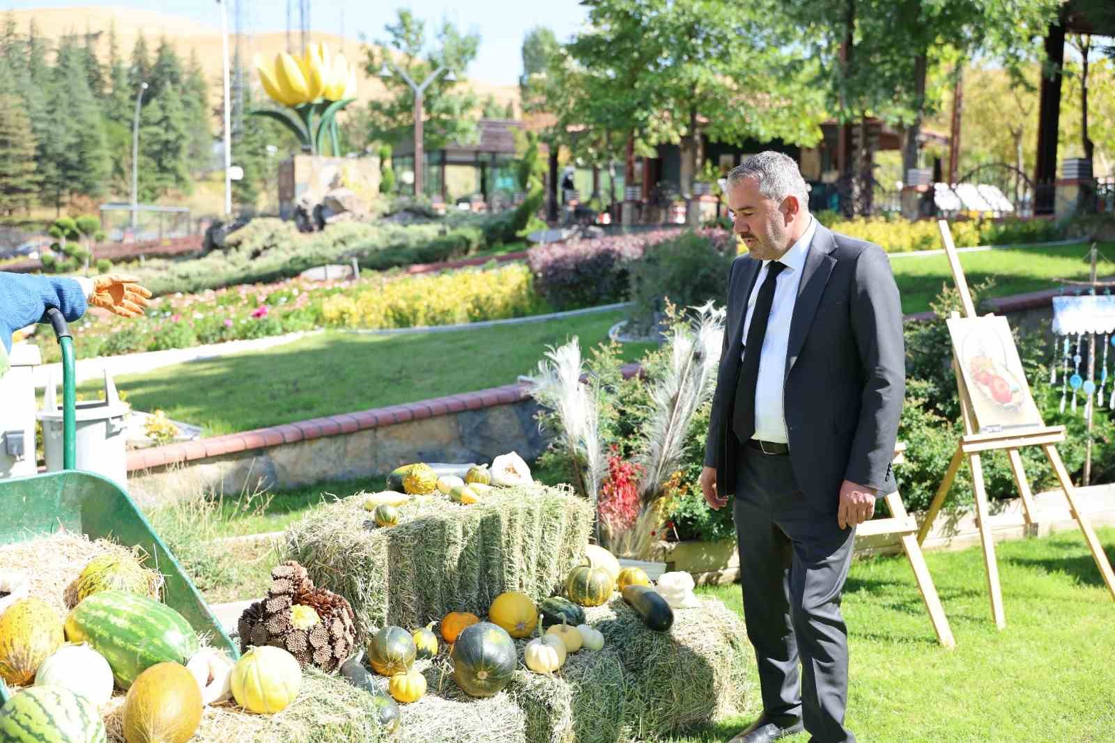 pursaklar-da-bulunan-ata-bahcesi-nde-yetistirilen-sebzeler-ve-meyveler-hasat-edildi