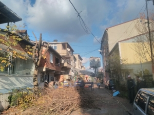 Sultanbeyli’de Ağaç Budama Çalışmaları Sürüyor