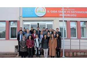 Kadro Güçlendiren Memurlara Oryantasyon Eğitimi Veriliyor