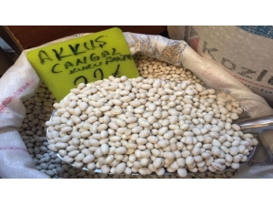 Akkuş Fasulyesinin Üretimi Artacak