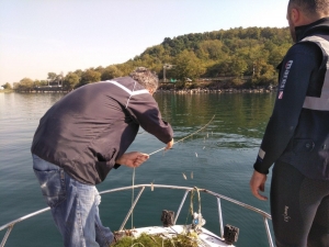 Sapanca Gölü’nde Doğal Yaşam Korunuyor