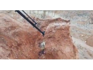 Maden İşçileri Çukurda Mahsur Kalan Köpeği Kurtardı