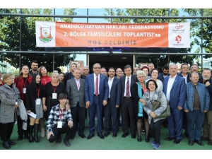 Hayvan Hakları Savunucuları Şanlıurfa’da Buluştu