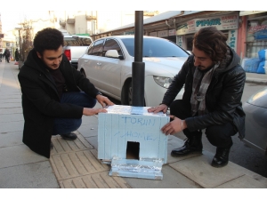 Atık Malzemelerle, Sokak Hayvanlarına "Ev" Yaptılar