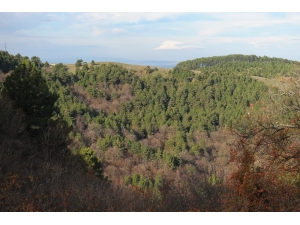 Uludağ’da Yılbaşı Öncesi Fidan Nöbeti