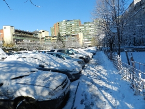 Kosova Beyaza Büründü