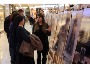 İlgisizliğe Kızdı, Kazı Yaptıkları Antik Kenti Avm’ye Taşıdı