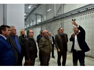 Mustafakemalpaşa’ya Modern Et Entegre Tesisi