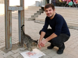 Lokantanın Maskotu Olan Kedi, Tavuklar İçin Nöbet Tutuyor