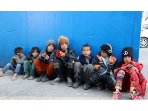 Van Büyükşehir Belediyesi, Dilendirilen Çocuklar İçin Harekete Geçti