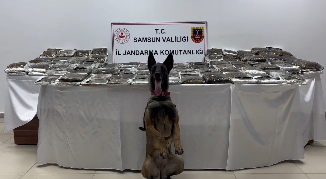 samsun-da-tira-gizlenmis-132-kilo-toz-esrar-ele-gecirildi