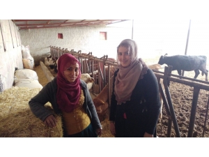 Eltiler Hayvan Çiftliği Kurdu, Kadınlara Örnek Oldu